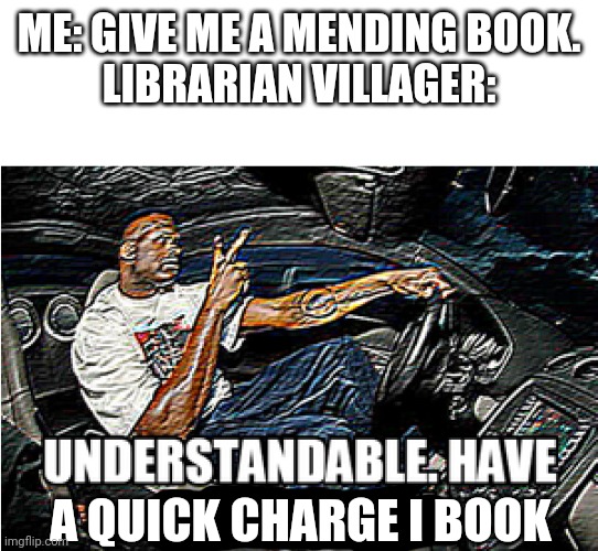 UNDERSTANDABLE, HAVE A GREAT DAY | ME: GIVE ME A MENDING BOOK.
LIBRARIAN VILLAGER:; A QUICK CHARGE I BOOK | image tagged in understandable have a great day | made w/ Imgflip meme maker