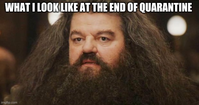 Hagrid | WHAT I LOOK LIKE AT THE END OF QUARANTINE | image tagged in hagrid | made w/ Imgflip meme maker