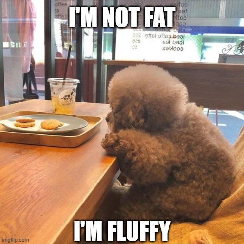 Uhm, yeah, OK... | I'M NOT FAT; I'M FLUFFY | image tagged in funny,fat,fluffy,diet,eating,eat | made w/ Imgflip meme maker