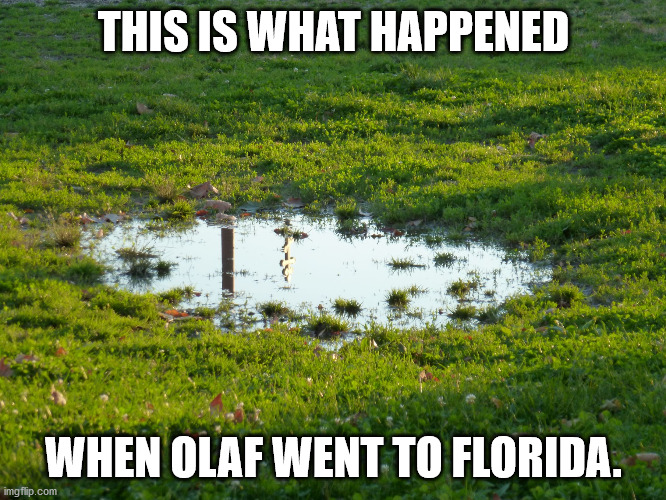 Olaf became a puddle. | THIS IS WHAT HAPPENED; WHEN OLAF WENT TO FLORIDA. | image tagged in puddle-flood | made w/ Imgflip meme maker