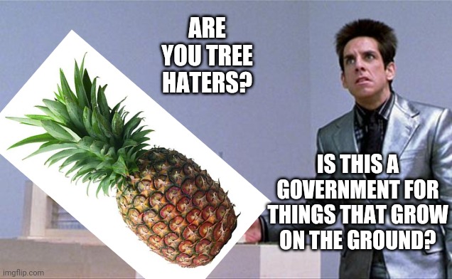 Ben Stiller X For Ants | ARE YOU TREE HATERS? IS THIS A GOVERNMENT FOR THINGS THAT GROW ON THE GROUND? | image tagged in ben stiller x for ants | made w/ Imgflip meme maker