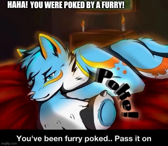 Furry Poked | HAHA! YOU WERE POKED BY A FURRY! | image tagged in poke,furry | made w/ Imgflip meme maker