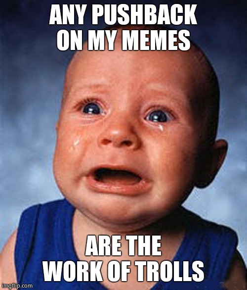 Crying baby  | ANY PUSHBACK ON MY MEMES ARE THE WORK OF TROLLS | image tagged in crying baby | made w/ Imgflip meme maker