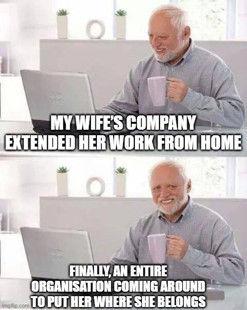 Stay At Home Wife | MY WIFE’S COMPANY EXTENDED HER WORK FROM HOME; FINALLY, AN ENTIRE ORGANISATION COMING AROUND TO PUT HER WHERE SHE BELONGS | image tagged in memes,hide the pain harold | made w/ Imgflip meme maker