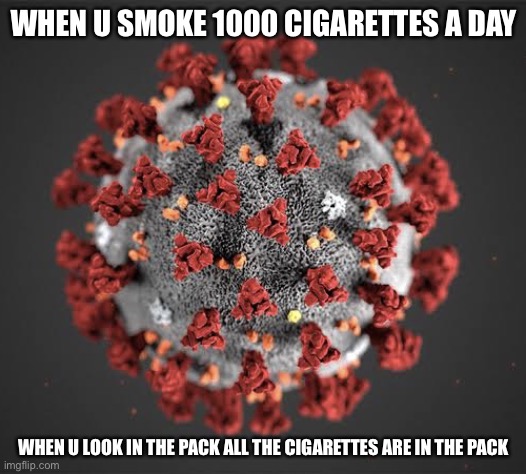 CORANA VIRUS HAHA | WHEN U SMOKE 1000 CIGARETTES A DAY; WHEN U LOOK IN THE PACK ALL THE CIGARETTES ARE IN THE PACK | image tagged in corona virus | made w/ Imgflip meme maker
