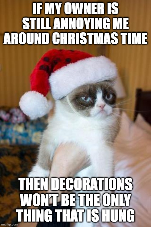 Grumpy Cat for the Win | IF MY OWNER IS STILL ANNOYING ME AROUND CHRISTMAS TIME; THEN DECORATIONS WON’T BE THE ONLY THING THAT IS HUNG | image tagged in memes,grumpy cat christmas,grumpy cat | made w/ Imgflip meme maker