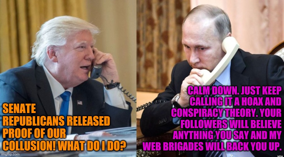 Trump Putin phone call | CALM DOWN. JUST KEEP CALLING IT A HOAX AND CONSPIRACY THEORY. YOUR FOLLOWERS WILL BELIEVE ANYTHING YOU SAY AND MY WEB BRIGADES WILL BACK YOU UP. SENATE REPUBLICANS RELEASED PROOF OF OUR COLLUSION! WHAT DO I DO? | image tagged in trump putin phone call,trump russia collusion,putin's puppet,fanboys,brainwashed | made w/ Imgflip meme maker