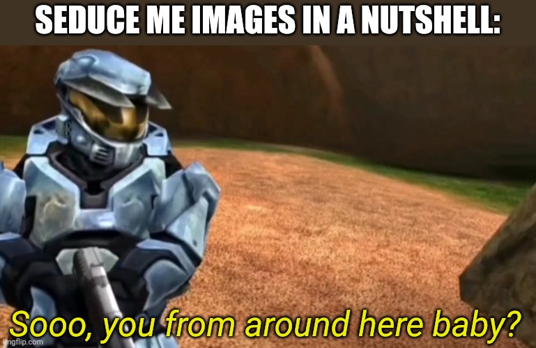 You know it's true | SEDUCE ME IMAGES IN A NUTSHELL:; Sooo, you from around here baby? | image tagged in in,a,nutshell | made w/ Imgflip meme maker