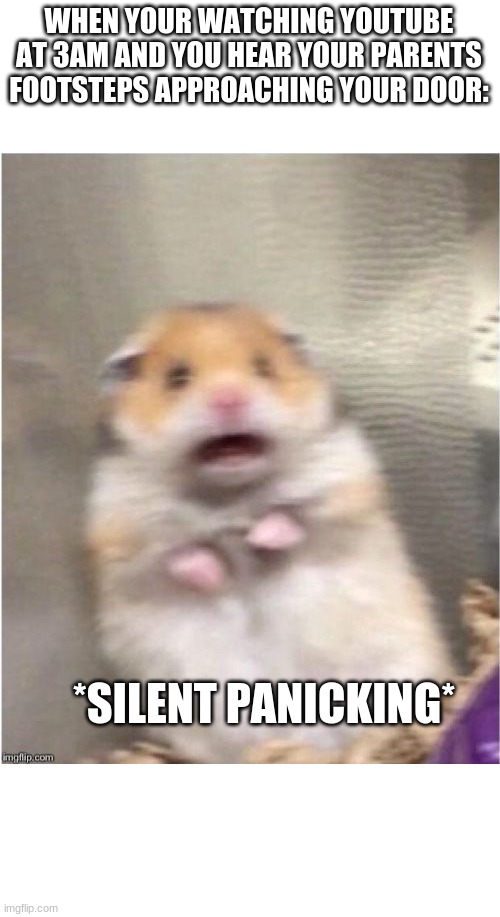 Scared Hamster | WHEN YOUR WATCHING YOUTUBE AT 3AM AND YOU HEAR YOUR PARENTS FOOTSTEPS APPROACHING YOUR DOOR:; *SILENT PANICKING* | image tagged in scared hamster | made w/ Imgflip meme maker