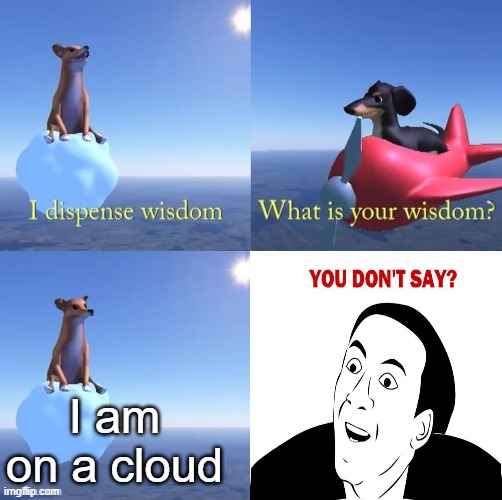 Wisdom dog | I am on a cloud | image tagged in wisdom dog,you don't say | made w/ Imgflip meme maker