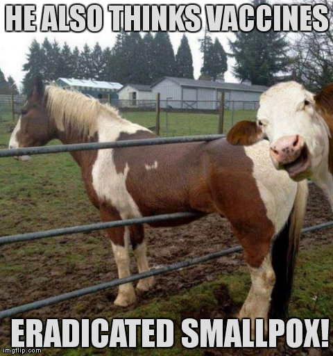 HE ALSO THINKS VACCINES  ERADICATED SMALLPOX! | image tagged in laughing cow | made w/ Imgflip meme maker