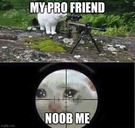 greetings | MY PRO FRIEND; NOOB ME | image tagged in sniper cat | made w/ Imgflip meme maker