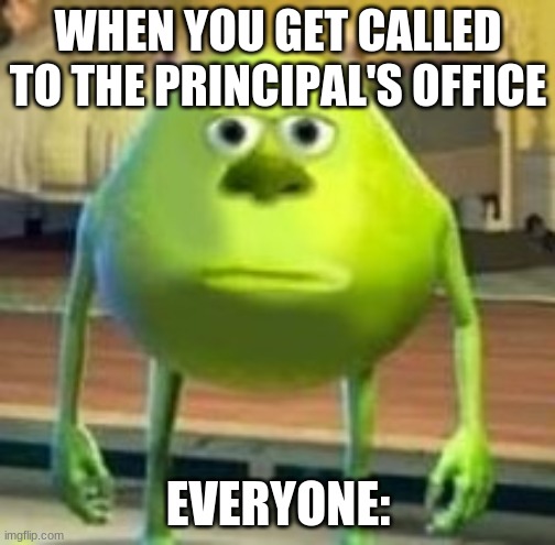 mike with sully's face | WHEN YOU GET CALLED TO THE PRINCIPAL'S OFFICE; EVERYONE: | image tagged in mike with sully's face | made w/ Imgflip meme maker
