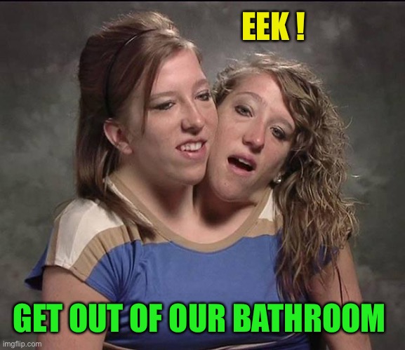 Conjoined twins | EEK ! GET OUT OF OUR BATHROOM | image tagged in conjoined twins | made w/ Imgflip meme maker