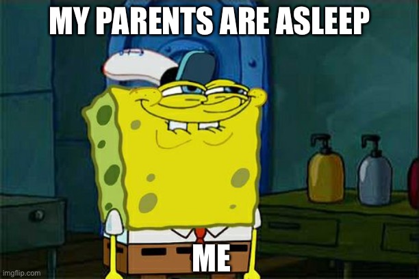 Don't You Squidward Meme | MY PARENTS ARE ASLEEP; ME | image tagged in memes,don't you squidward | made w/ Imgflip meme maker