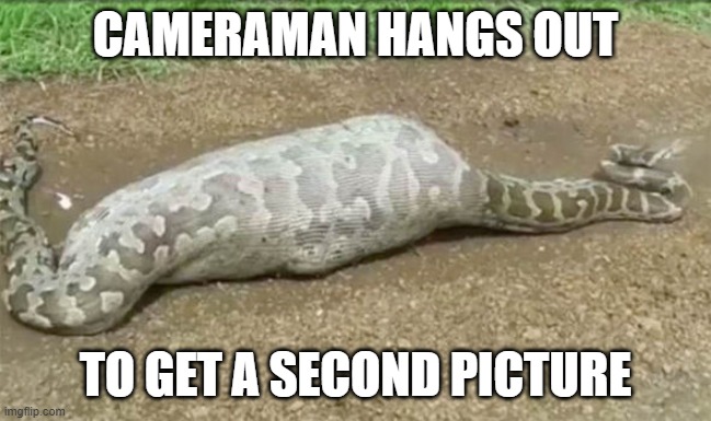 CAMERAMAN HANGS OUT TO GET A SECOND PICTURE | made w/ Imgflip meme maker