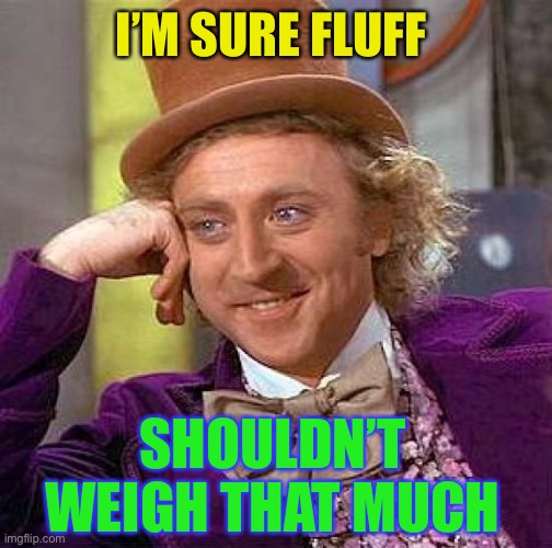 Creepy Condescending Wonka Meme | I’M SURE FLUFF SHOULDN’T WEIGH THAT MUCH | image tagged in memes,creepy condescending wonka | made w/ Imgflip meme maker