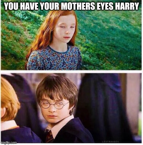 You Have Your Mothers Eyes, Harry | YOU HAVE YOUR MOTHERS EYES HARRY | image tagged in harry potter meme | made w/ Imgflip meme maker