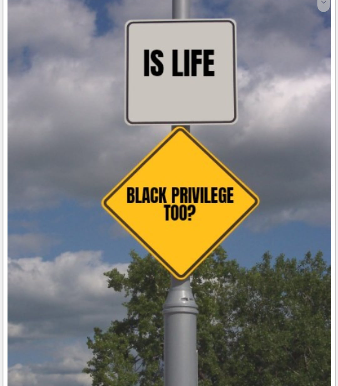 High Quality Black privilege and racism: Is life black privilege? Blank Meme Template