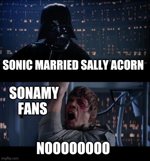 Star Wars No Meme | SONIC MARRIED SALLY ACORN; SONAMY FANS; NOOOOOOOO | image tagged in memes,star wars no | made w/ Imgflip meme maker