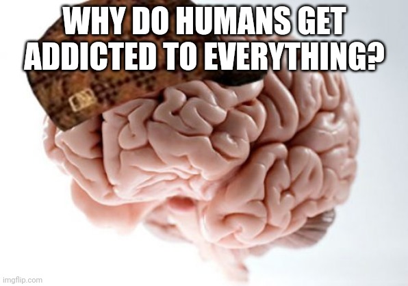 Scumbag Brain | WHY DO HUMANS GET ADDICTED TO EVERYTHING? | image tagged in memes,scumbag brain | made w/ Imgflip meme maker