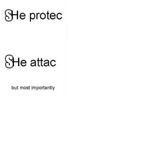 High Quality She protec she attac but most importantly Blank Meme Template