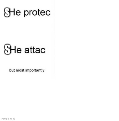 She protec she attac but most importantly | image tagged in she protec she attac but most importantly | made w/ Imgflip meme maker