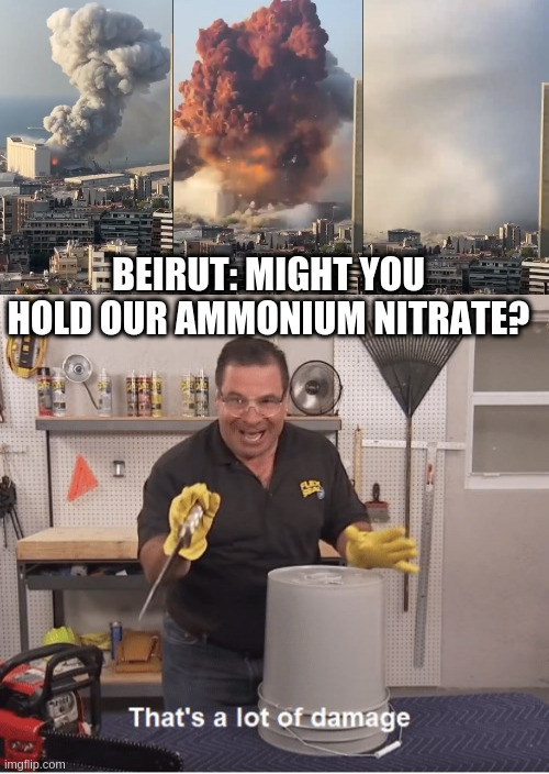 BEIRUT: MIGHT YOU HOLD OUR AMMONIUM NITRATE? | image tagged in thats a lot of damage,beirut explosion | made w/ Imgflip meme maker