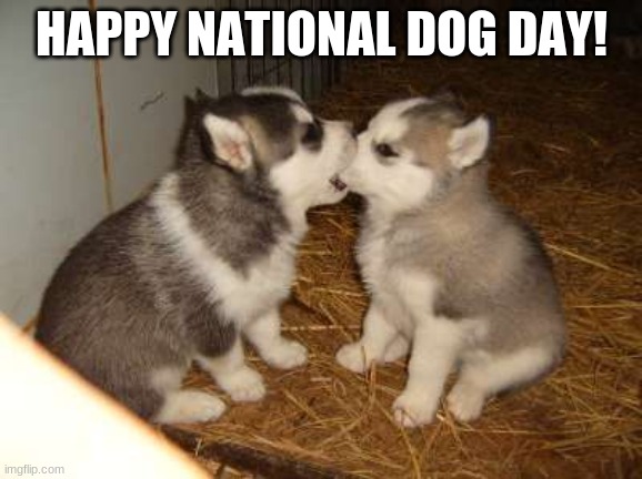 It's National Dog Day! | HAPPY NATIONAL DOG DAY! | image tagged in memes,cute puppies,national dog day,dogs,woof woof,dog day | made w/ Imgflip meme maker