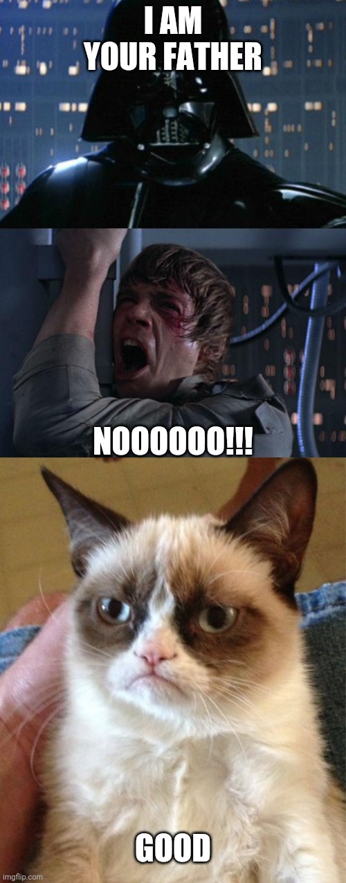 Image ged In Memes Grumpy Cat I Am Your Father Imgflip