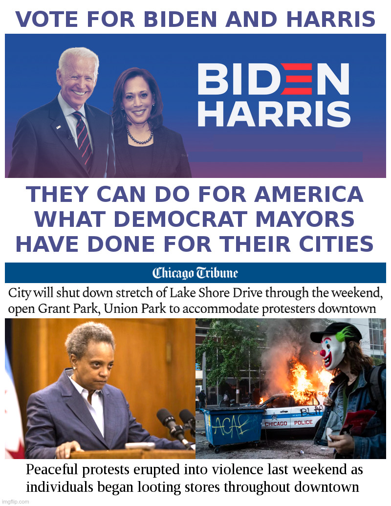 What Biden and Harris Can Do For America | image tagged in joe biden,kamala harris,lori lightfoot,black lives matter,looters,rioters | made w/ Imgflip meme maker
