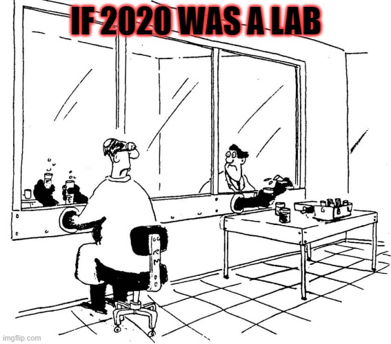 2020 Lab | IF 2020 WAS A LAB | image tagged in farside lab | made w/ Imgflip meme maker