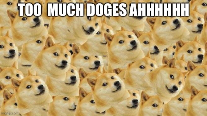 Meiosis | TOO  MUCH DOGES AHHHHHH | image tagged in memes,multi doge,doge | made w/ Imgflip meme maker