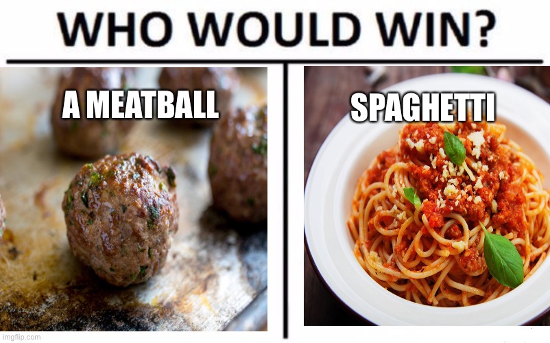 A MEATBALL; SPAGHETTI | made w/ Imgflip meme maker