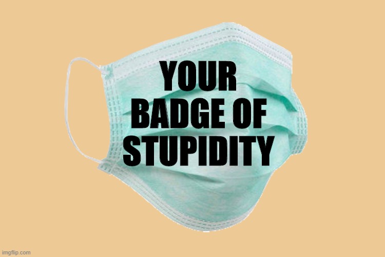 Much like climate change, all the numbers are Junk Science. | YOUR
BADGE OF
STUPIDITY | image tagged in face mask,covid-19,coronavirus,hoax | made w/ Imgflip meme maker