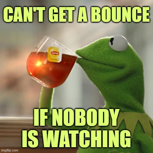 But That's None Of My Business Meme | CAN'T GET A BOUNCE IF NOBODY IS WATCHING | image tagged in memes,but that's none of my business,kermit the frog | made w/ Imgflip meme maker