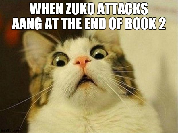 Scared Cat | WHEN ZUKO ATTACKS AANG AT THE END OF BOOK 2 | image tagged in memes,scared cat | made w/ Imgflip meme maker