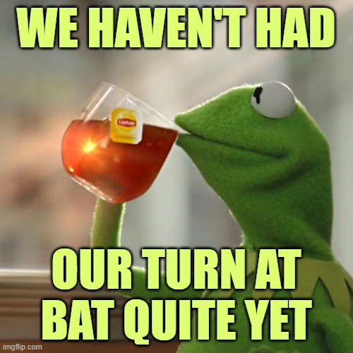 But That's None Of My Business Meme | WE HAVEN'T HAD OUR TURN AT BAT QUITE YET | image tagged in memes,but that's none of my business,kermit the frog | made w/ Imgflip meme maker