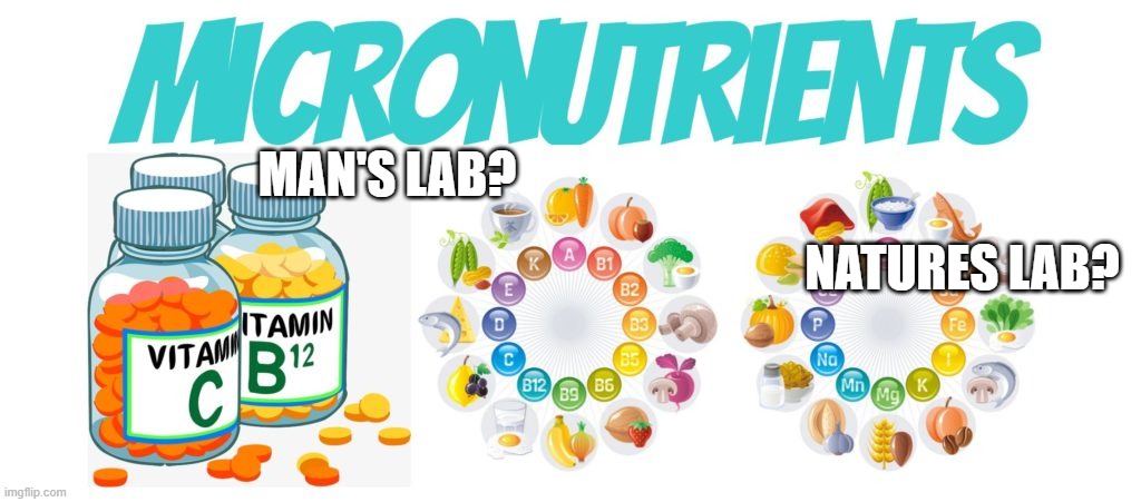 Micronutrients | MAN'S LAB? NATURES LAB? | image tagged in health,nutrition | made w/ Imgflip meme maker