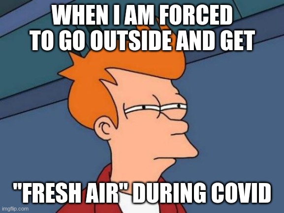 Futurama Fry | WHEN I AM FORCED TO GO OUTSIDE AND GET; "FRESH AIR" DURING COVID | image tagged in memes,futurama fry | made w/ Imgflip meme maker