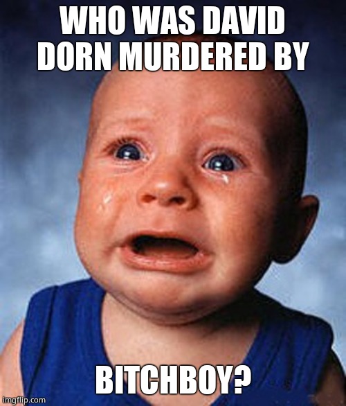 Crying baby  | WHO WAS DAVID DORN MURDERED BY BITCHBOY? | image tagged in crying baby | made w/ Imgflip meme maker