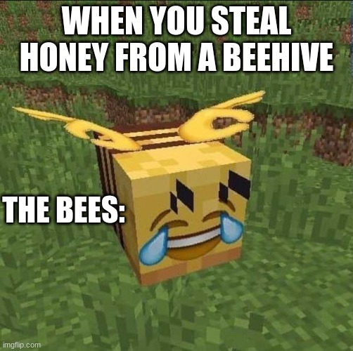 WHEN YOU STEAL HONEY FROM A BEEHIVE; THE BEES: | image tagged in minecraft | made w/ Imgflip meme maker