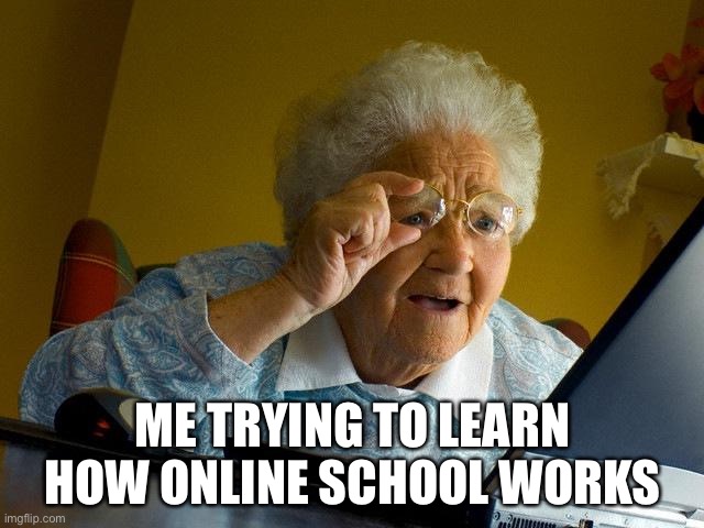 Grandma Finds The Internet Meme | ME TRYING TO LEARN HOW ONLINE SCHOOL WORKS | image tagged in memes,grandma finds the internet | made w/ Imgflip meme maker