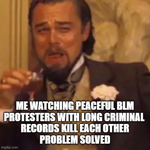 enjoy the show | ME WATCHING PEACEFUL BLM
PROTESTERS WITH LONG CRIMINAL 
RECORDS KILL EACH OTHER
PROBLEM SOLVED | image tagged in leonardo dicaprio,django unchained,blm,black lives matter,protests | made w/ Imgflip meme maker