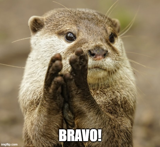 Squirrel Applause | BRAVO! | image tagged in squirrel applause | made w/ Imgflip meme maker