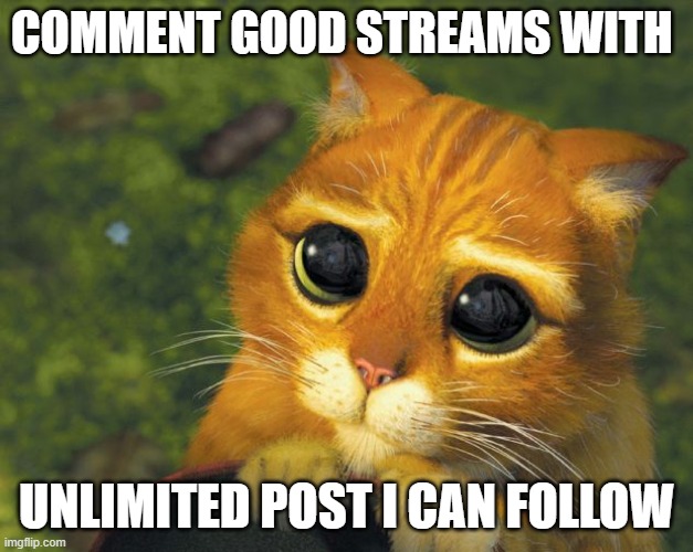 plz im bored | COMMENT GOOD STREAMS WITH; UNLIMITED POST I CAN FOLLOW | image tagged in cat plz | made w/ Imgflip meme maker