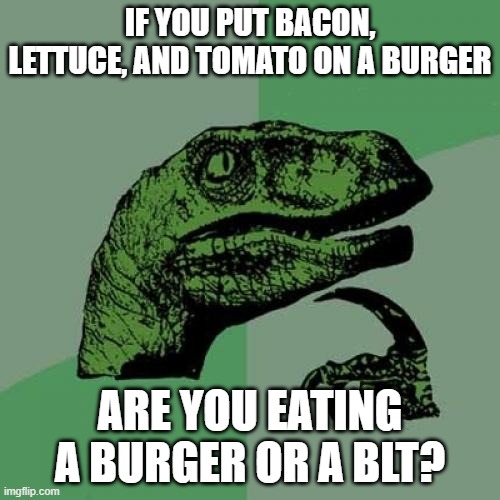 Philosoraptor Meme | IF YOU PUT BACON, LETTUCE, AND TOMATO ON A BURGER; ARE YOU EATING A BURGER OR A BLT? | image tagged in memes,philosoraptor | made w/ Imgflip meme maker