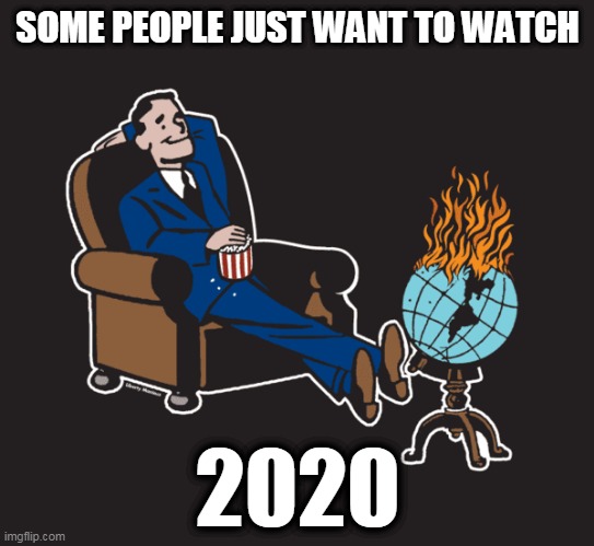 world burn | SOME PEOPLE JUST WANT TO WATCH; 2020 | image tagged in world burn | made w/ Imgflip meme maker