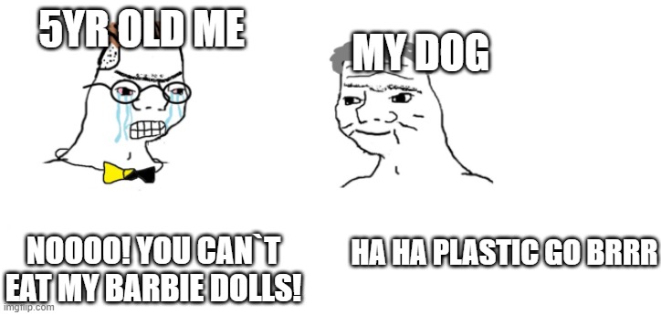 haha plastic go brrr | MY DOG; 5YR OLD ME; HA HA PLASTIC GO BRRR; NOOOO! YOU CAN`T EAT MY BARBIE DOLLS! | image tagged in nooo haha go brrr | made w/ Imgflip meme maker