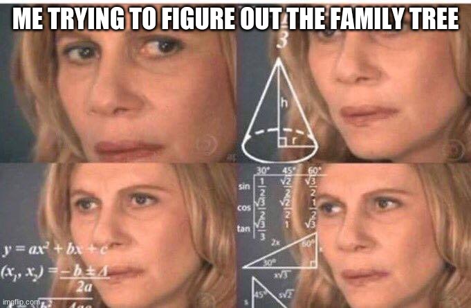 it's so messed up | ME TRYING TO FIGURE OUT THE FAMILY TREE | image tagged in math lady/confused lady | made w/ Imgflip meme maker